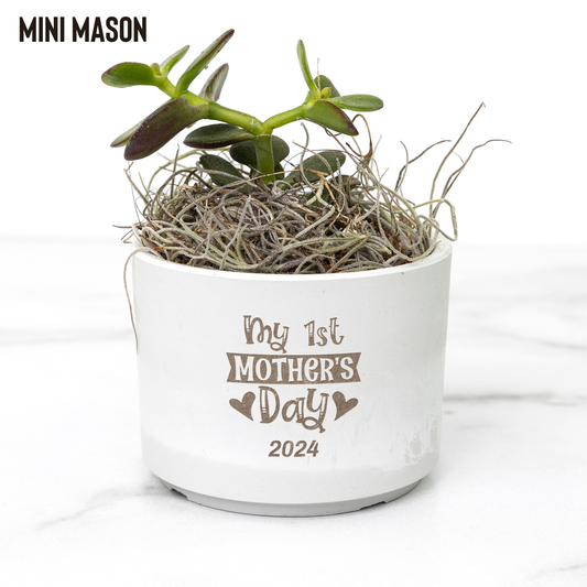My First Mother's Day Desk Plant Personalized Gift For New Mom