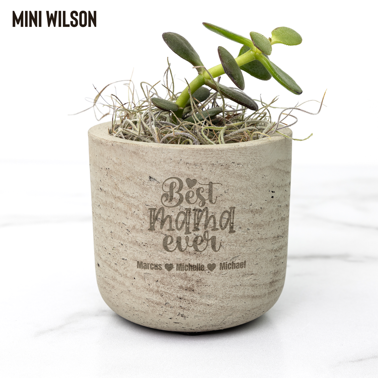 Best Mama Ever Desk Plant Personalized Gift For Mom