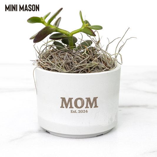 Personalized Desk Plant for New Mom